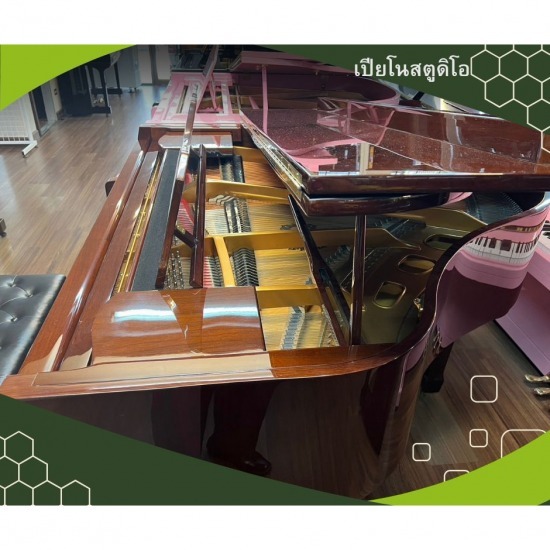 ช่างรับซ่อมเปียโน  ช่างรับซ่อมเปียโน 